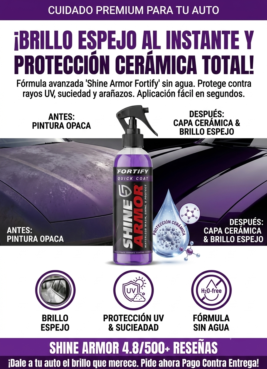 SPRAY BRILLADOR DE CARROS