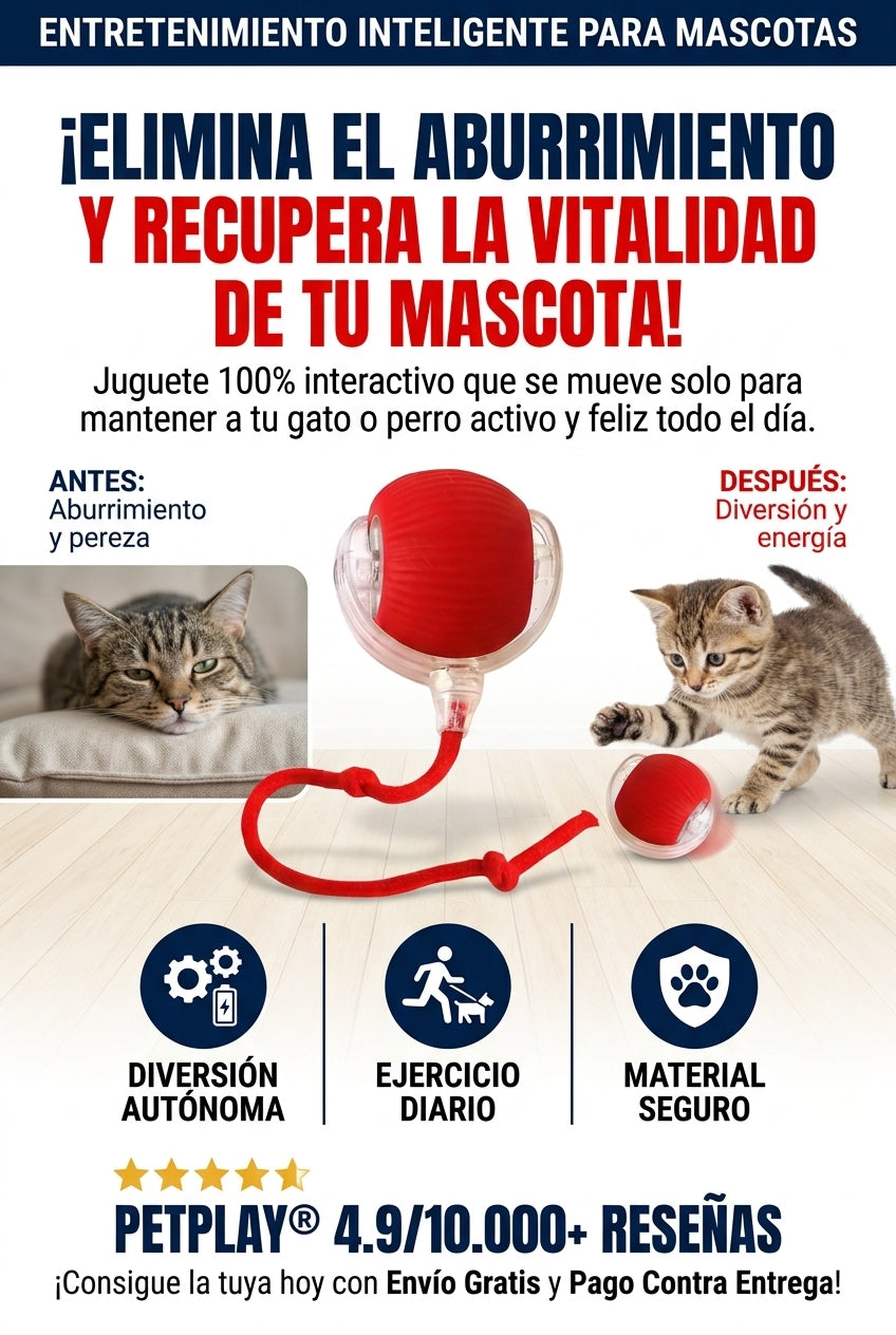 PELOTA INTERACTIVA PARA MASCOTAS