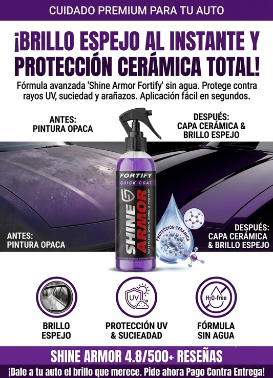 SPRAY BRILLADOR DE CARROS